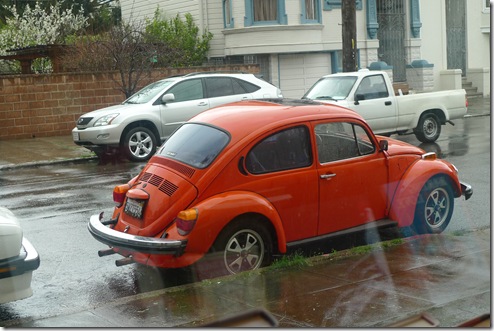 orange bug