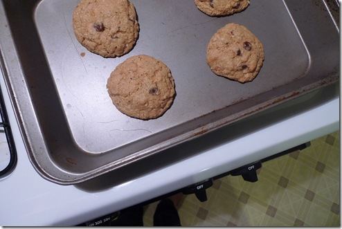 kodiak cookies